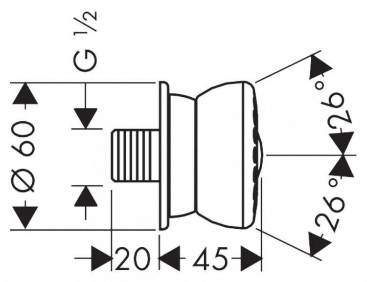 Душевая форсунка Hansgrohe Bodyvette 28466000