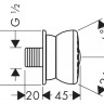 Душевая форсунка Hansgrohe Bodyvette 28466000