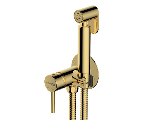 WasserKRAFT NEW A70738 Встраиваемый смеситель для душгигиенической лейкой