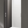 Душевая дверь в нишу TANDEM-SOFT-BF-2 Cezares TANDEM-SOFT-BF-2-120-C-Cr-IV