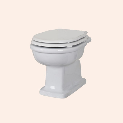 Унитаз TW Bristol TWBR02bi