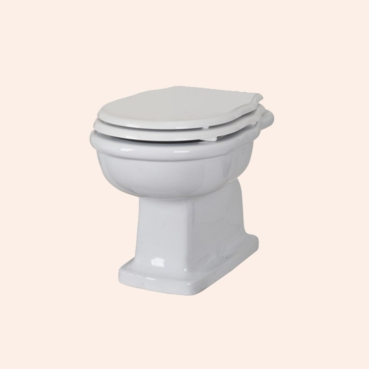 Унитаз TW Bristol TWBR02bi