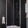 Дверь в душевой проем Vegas Zeus P 120