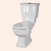 Унитаз TW Bristol TWBR03bi