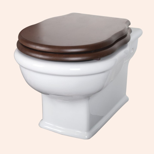 Унитаз TW Bristol TWBR51bi