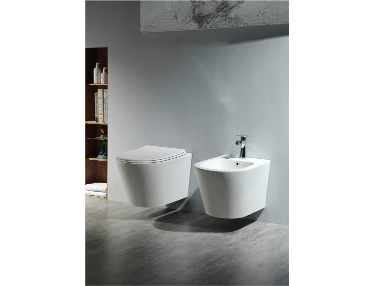 Биде подвесное Aquatek ВЕГА AQ1057-00, 530*360*330 мм, цвет белый