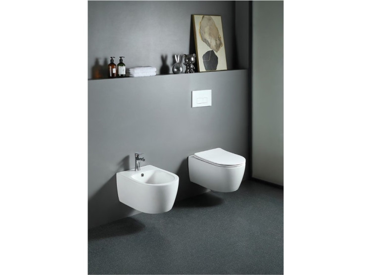 Унитаз подвесной безободковый Aquatek ЕВРОПА AQ1106L-00 525*360*260 мм, горизонтальный выпуск, тонкое сиденье с механизмом плавного закрывания, крепеж