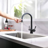 Смеситель Lemark Comfort LM3075BL для кухни  с подключением к фильтру с питьевой водой