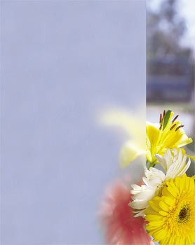 Шторка на ванну Vegas Zeus V 170