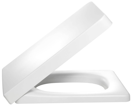 Крышка-сиденье из термодюра Jacob Delafon REVE 72228-00