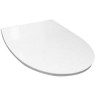 Крышка-сиденье для унитаза Roca Victoria Nord ZRU9302919