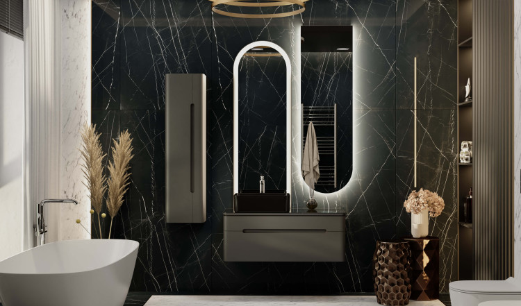 Shine 100 с МФУ, антрацит