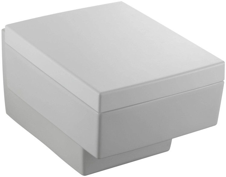 Подвесной унитаз 55 х 38 см Jacob Delafon TERRACE EDA102-00