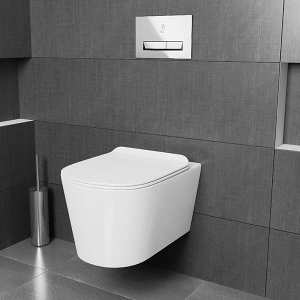 Унитаз Delice France Lorraine Q Suspendu