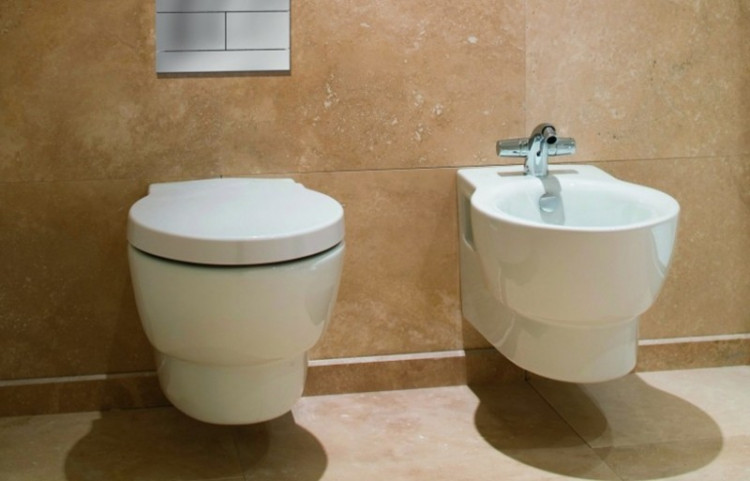 Биде Jacob Delafon Ove E1586-00 подвесное