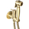 Гигиенический душ Webert Antic EL870302 со смесителем