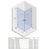 Душевой уголок Riho Scandic Soft Q209 100x90