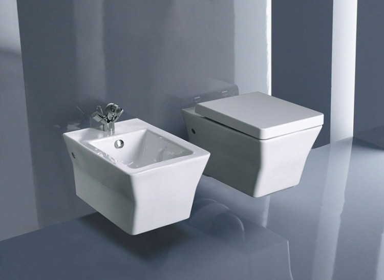 Биде Jacob Delafon Reve E4812-00 подвесное