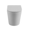 Унитаз приставной безободковый с сиденьем дюропласт soft close Cezares BB1003CBR/SC