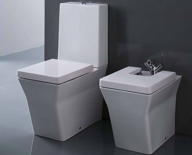 Биде Jacob Delafon Reve E4814-00