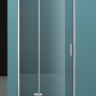 Душевая дверь в нишу BELBAGNO KRAFT-B-12 BelBagno KRAFT-B-12-60/30-C-Cr-L