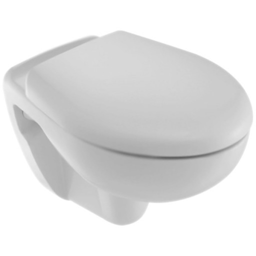 Унитаз Jacob Delafon Brive E4345G-00 подвесной