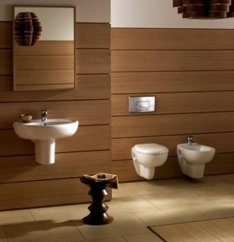 Унитаз Jacob Delafon Brive E4345G-00 подвесной