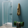Душевая дверь в нишу Kolpa San Q Line TVO/S 80