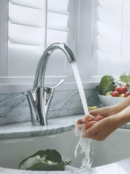 Смеситель для кухни Jacob Delafon Carafe E18865