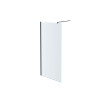 Душевая перегородка Aquatek AQ WIW 08020BL