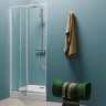 Душевая дверь в нишу Kolpa San Q Line TVO/S 90