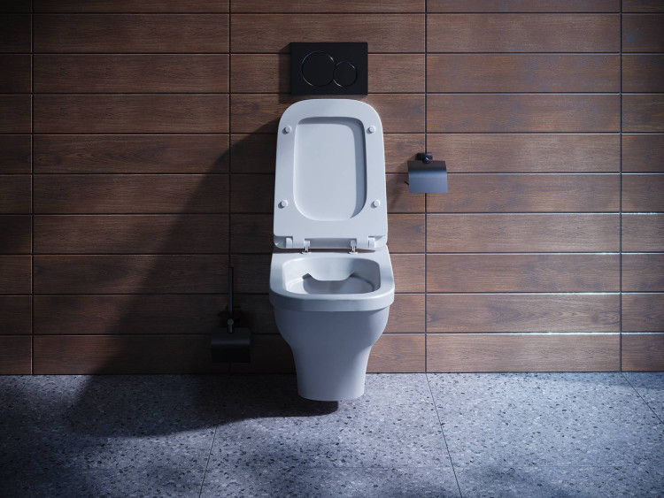 Унитаз подвесной Santek rimless Лайн 1WH501574