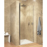 Душевая дверь в нишу Riho Nautic 3000 N101 90x200