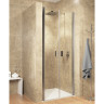 Душевая дверь в нишу Riho Nautic 3000 N111 100x200