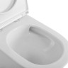 Унитаз-моноблок со смывом TORNADO, с сиденьем дюропласт soft close, P-trap Cezares BB673CP-MN-TOR/SC