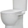 Унитаз Sanita Luxe Art Luxe SL DM ARTSLCC01040622