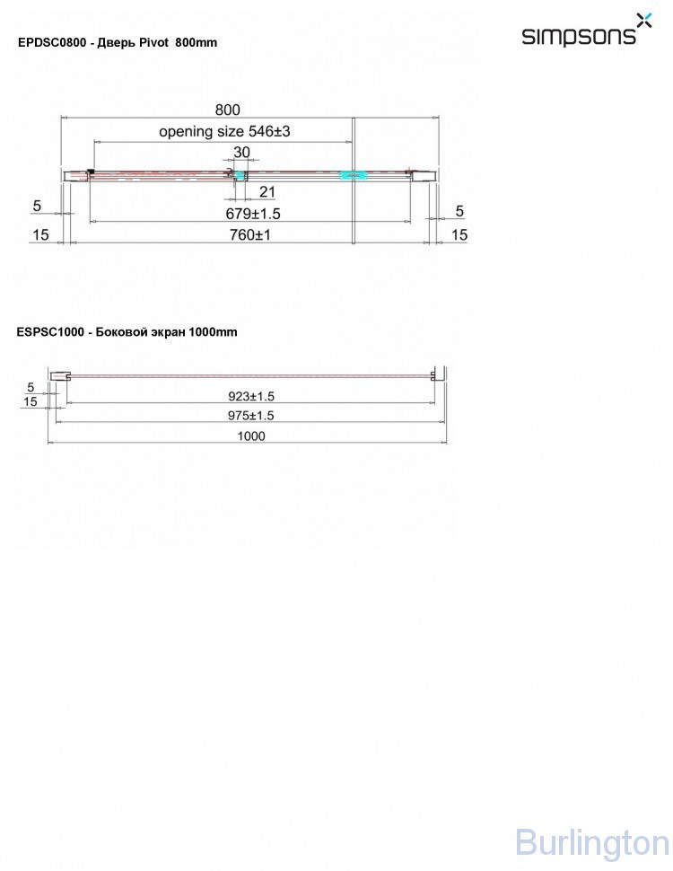 Дверь Pivot 800mm c боковым экраном 1000mm