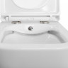 Унитаз подвесной с сиденьем и креплением с функцией биде и смесителем BelBagno BB3103CHR-BS/SC