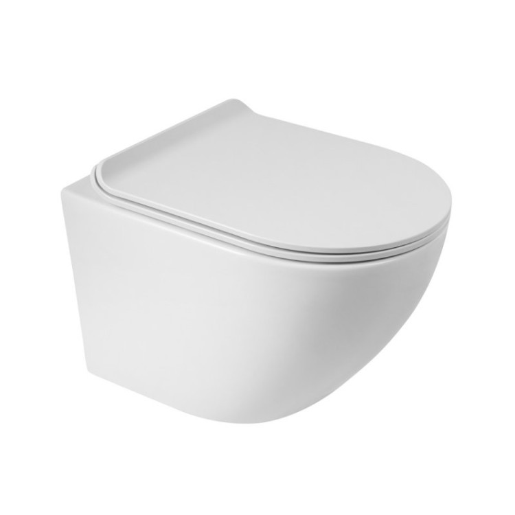 Сиденье дюропластовое с быстросъёмными петлями, механизмом Soft Close Cezares BB901SC