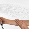 Ручной душ Hansgrohe Crometta 26330400