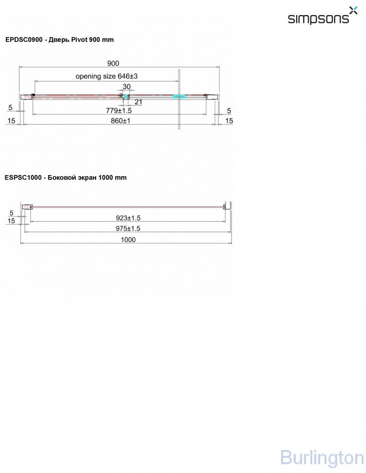 Дверь Pivot 900mm с боковым экраном 1000mm
