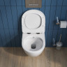 Унитаз подвесной с сиденьем и креплением с функцией биде и смесителем BelBagno BB3105CHR-BS/SC