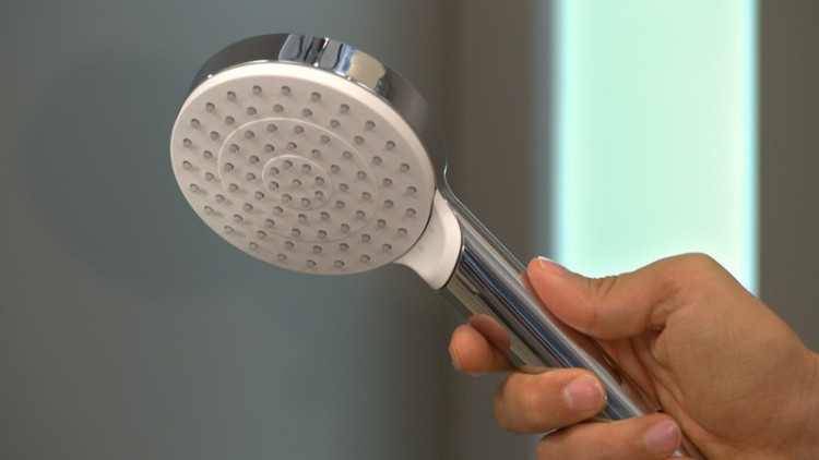 Ручной душ Hansgrohe Crometta 26331400