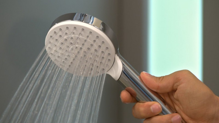 Ручной душ Hansgrohe Crometta 26331400