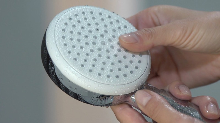 Ручной душ Hansgrohe Crometta 26825400