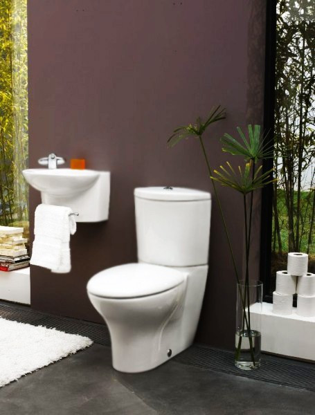 Унитаз Jacob Delafon Presquile Vario 19077-00