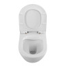 Сиденье быстросъемное, дюропласт, soft close, металлическое крепление BelBagno BB051-2SC
