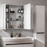 Зеркальный шкаф Aquaton Нортон 100 белый 1A249302NT010
