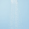Ручной душ Hansgrohe Crometta 28563000