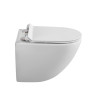 Сиденье быстросъемное, дюропласт, soft close, металлическое крепление BelBagno BB865SC
